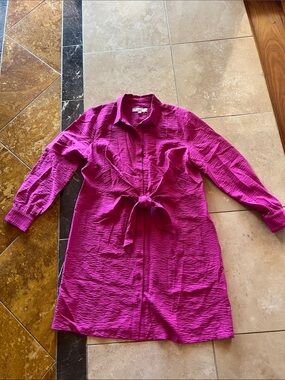 LOFT Bright Fuchsia Button-Up Shirt Dress